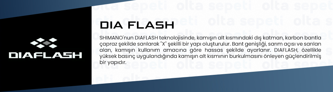 dia flash.jpg
